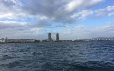 ¿Cómo ha de ser la gestión de una empresa dentro de un concurso de acreedores?